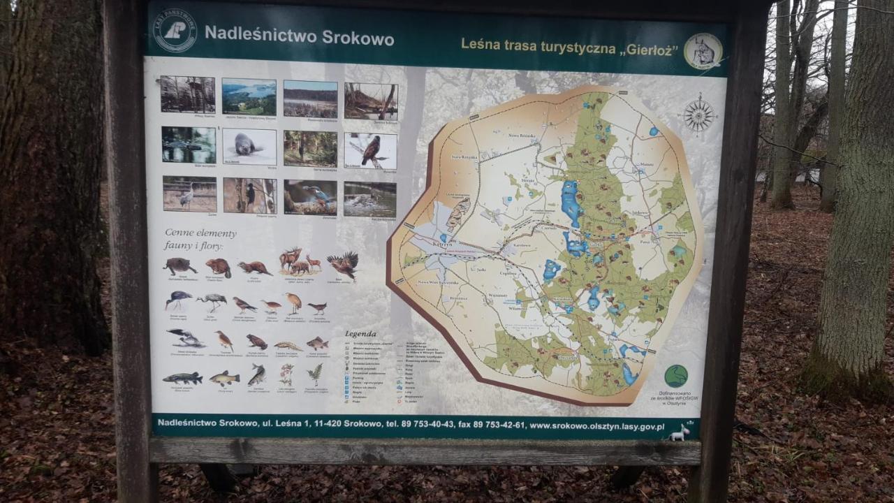 Zacisze Pod Brzozami Kętrzyn Exterior foto