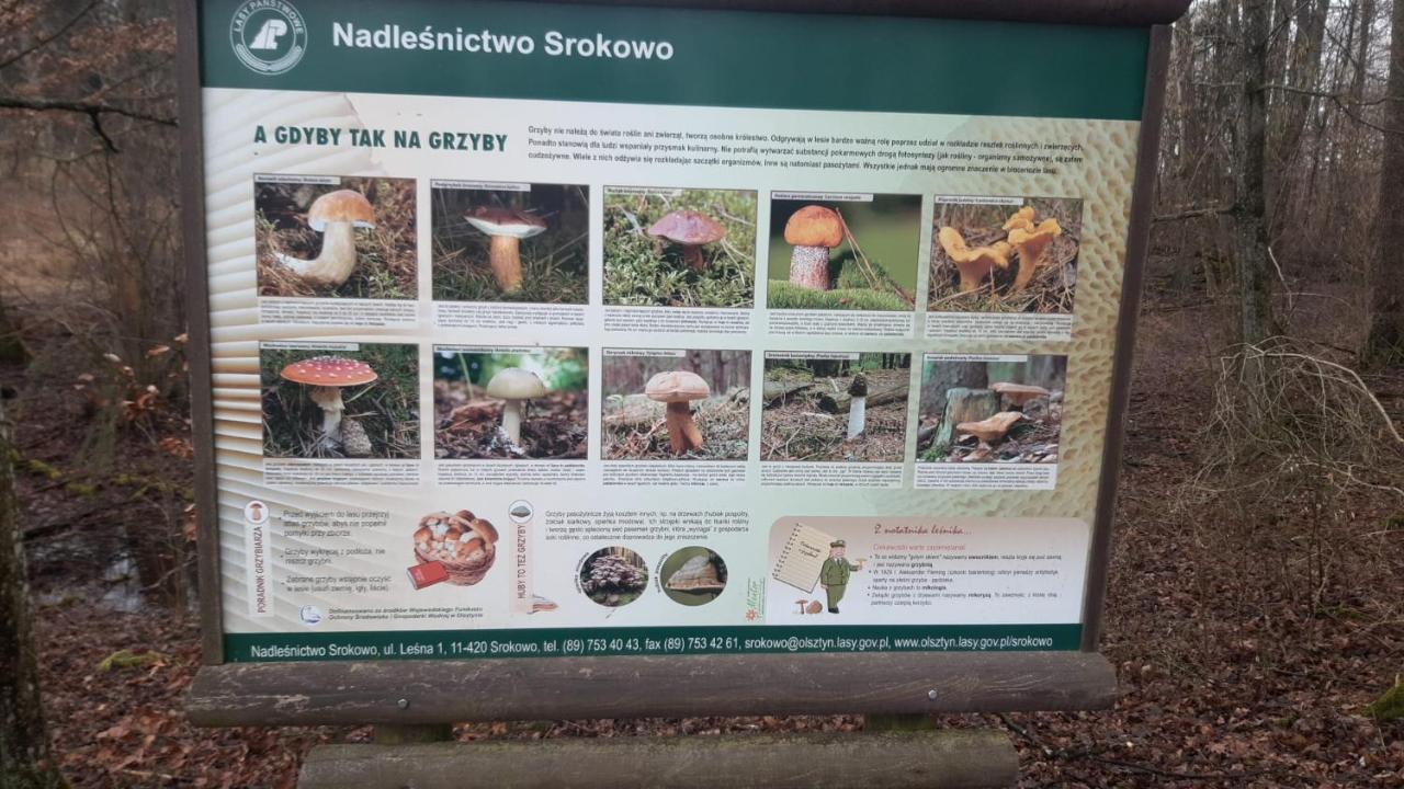 Zacisze Pod Brzozami Kętrzyn Exterior foto
