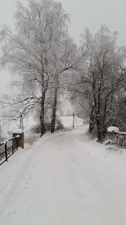 Zacisze Pod Brzozami Kętrzyn Exterior foto