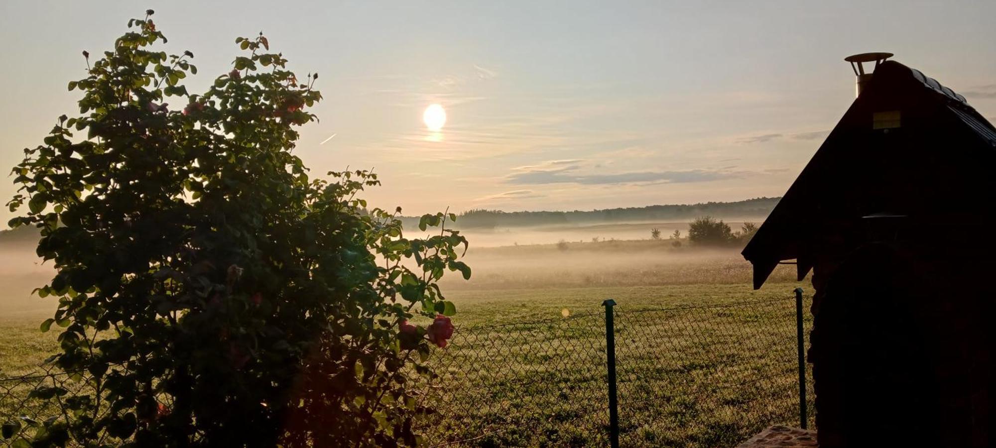 Zacisze Pod Brzozami Kętrzyn Exterior foto