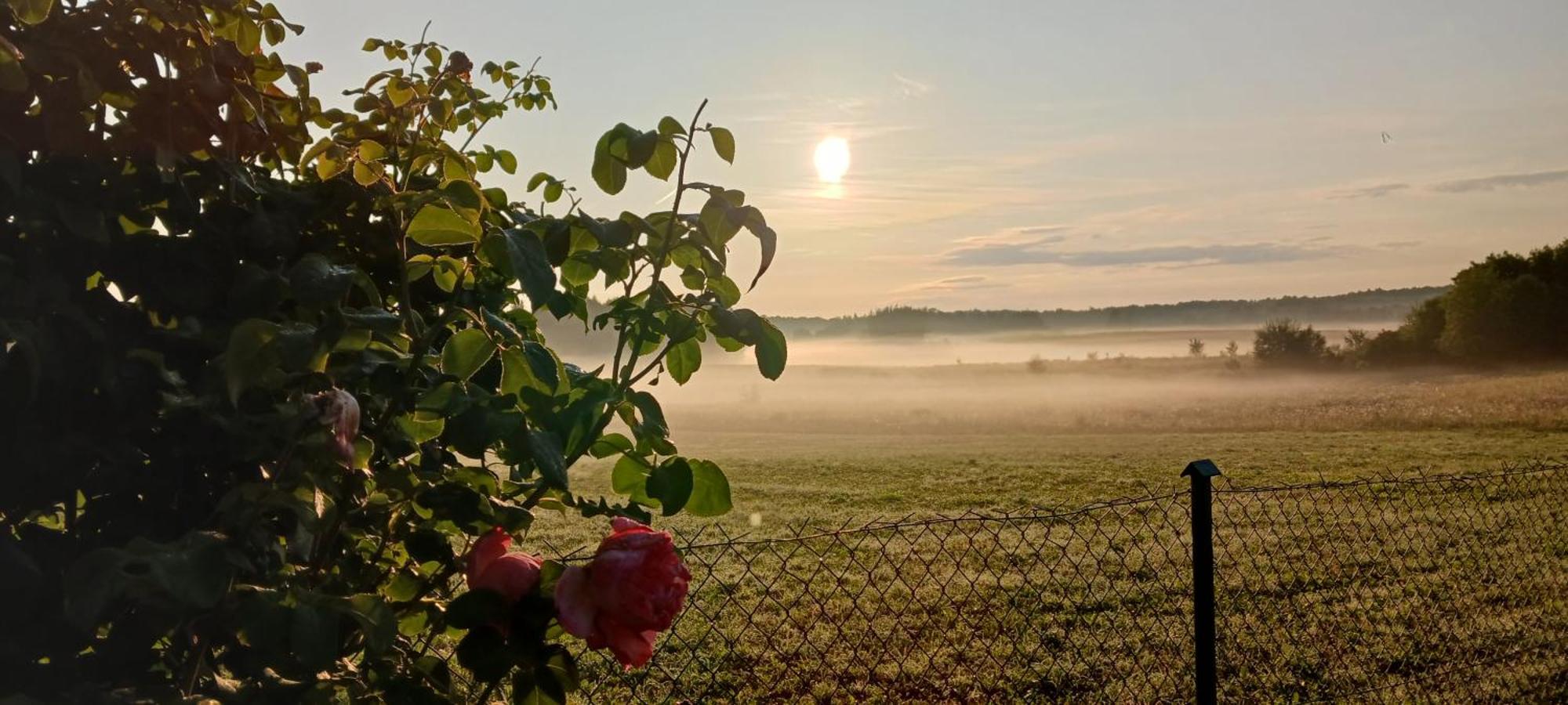 Zacisze Pod Brzozami Kętrzyn Exterior foto
